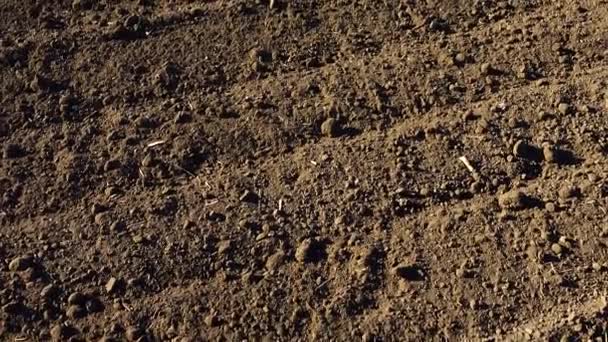Le champ agricole, le tir de la terre labourée. Tournage dans les zones rurales .