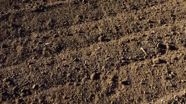 Campo Agricolo Sparatoria Della Terra Arata Riprese Nelle Zone Rurali — Video Stock