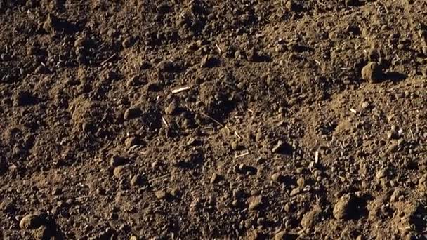 Campo Agrícola Tiroteio Terra Arada Tiroteio Áreas Rurais — Vídeo de Stock