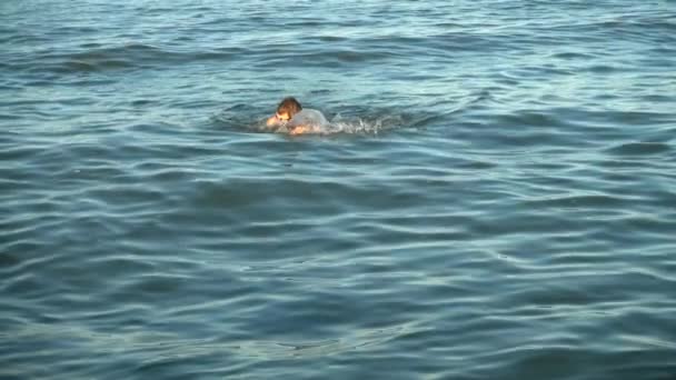 Der Mann Schwimmt Sommerabend Meer Zeitlupe — Stockvideo