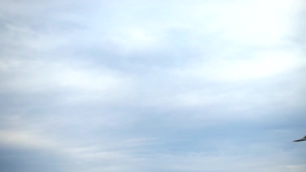 Flug Einer Möwe Himmel Über Dem Meer Zeitlupe — Stockvideo