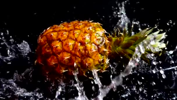 Ananas Sur Fond Noir — Video