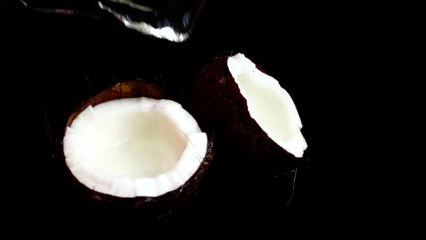 黒の背景に熟したジューシーなココナッツ — ストック動画