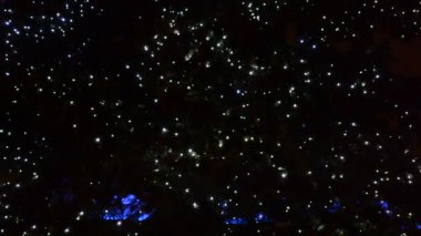 Bir noel ağacında parlayan ampullerin odaksız görüntüsü