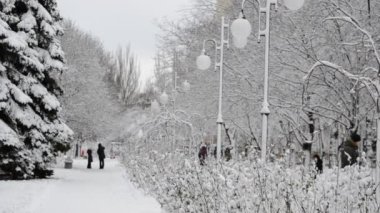 Kış parkı. Kışın uğulduyor..