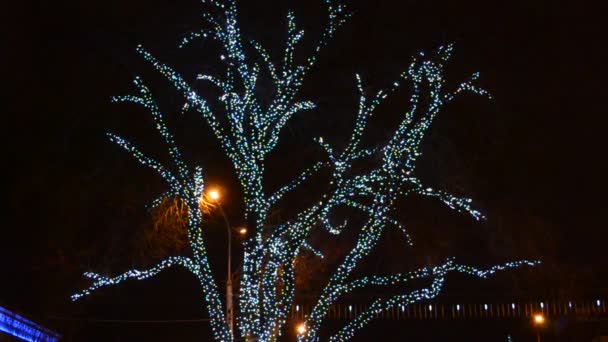 Imagen Desenfocada Bulbos Brillantes Árbol Navidad — Vídeos de Stock