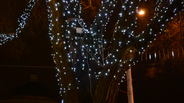 Imagem Desfocada Lâmpadas Brilhantes Uma Árvore Natal — Vídeo de Stock