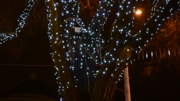 Imagen Desenfocada Bulbos Brillantes Árbol Navidad — Vídeo de stock