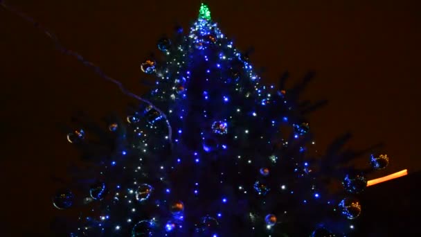 Image Déconcentrée Des Ampoules Brillantes Sur Arbre Noël — Video