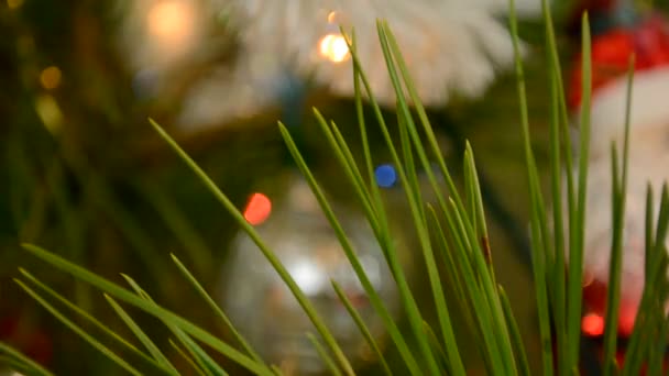 Hermoso Árbol Piel Navidad Decorado Con Juguetes Año Nuevo — Vídeo de stock