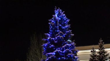 Kışın gökyüzüne karşı fidan ağacı. Kışın çelenklerde Noel ağacı..