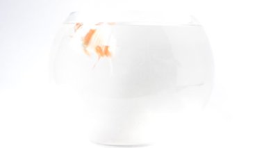 Akvaryumdaki suda balık var..