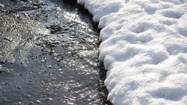 Primavera Nieve Flujos Flujo — Vídeos de Stock