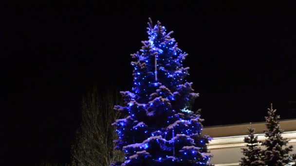Drzewo Jodłowe Zimie Tle Nocnego Nieba Choinka Zimą Girlandach — Wideo stockowe
