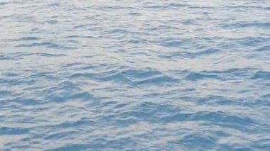 Deniz, gemi. Yazın uğultu..