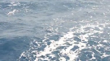 Deniz, gemi. Yazın uğultu..