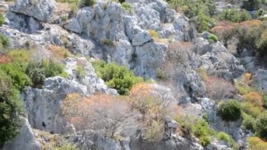 Dağlar Yazın uğulduyor.