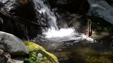 Dağ nehri, dökülüyor. Güzel bir manzara. 