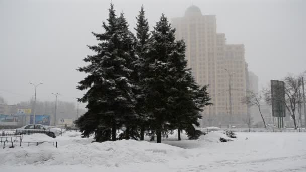 Снігова Буря Взимку Місті — стокове відео