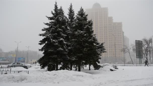 Снежная Буря Зимой Городе — стоковое видео