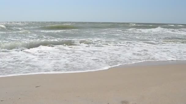 Mer et vague de mer .