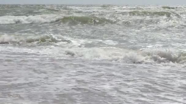 Deniz Deniz Dalgaları — Stok video