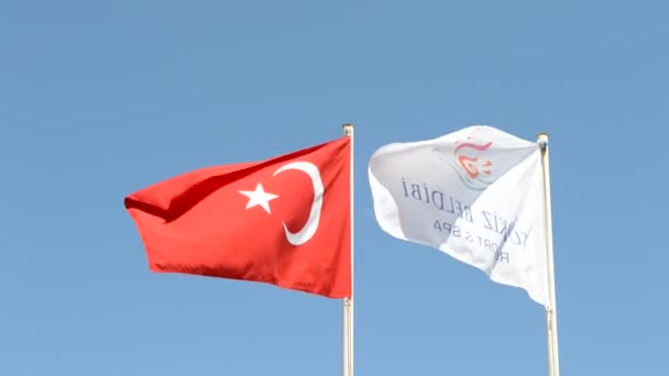 Macha Flagą Turcji Słoneczny Błękitne Niebo — Wideo stockowe