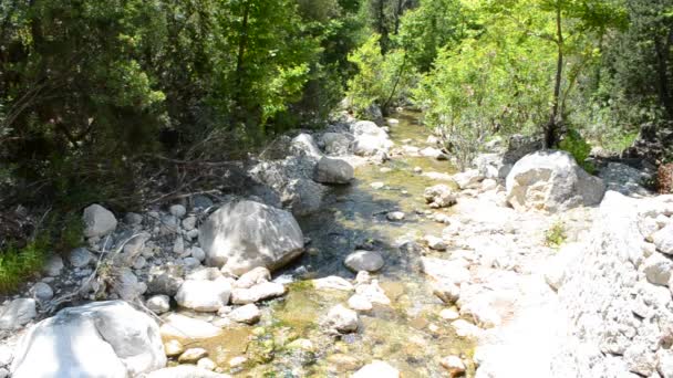 Mountain Rivier Dalen Schieten Zomer — Stockvideo