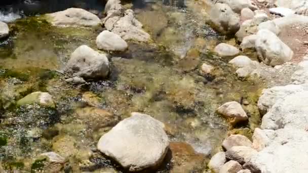 Ποταμός Του Βουνού Καταρράκτες — Αρχείο Βίντεο