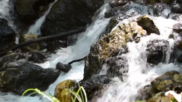 Горная Река Водопады — стоковое видео