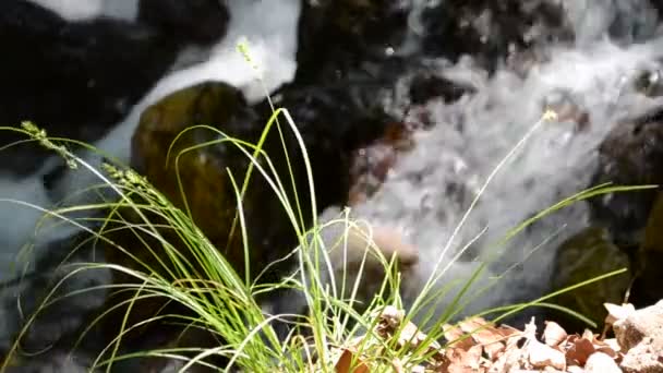 Bergrivier Watervallen Schieten Een Prachtig Landschap — Stockvideo