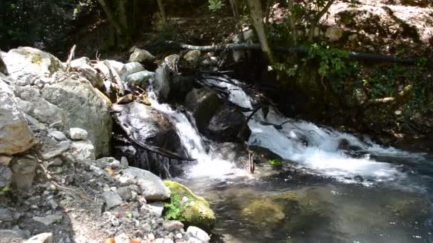 Río Montaña Caídas Solución Hermoso Paisaje — Vídeos de Stock