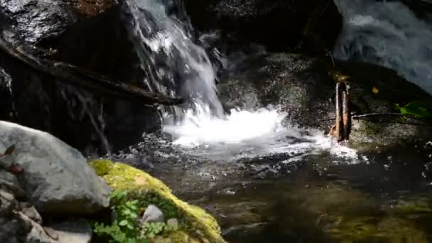Гірська Річка Омана Знімаю Красивий Пейзаж — стокове відео