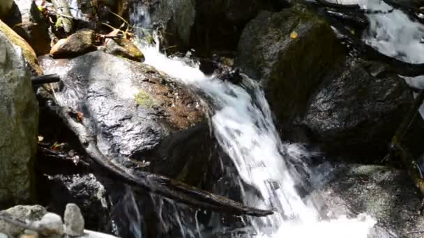 Río Montaña Caídas Solución Hermoso Paisaje — Vídeos de Stock