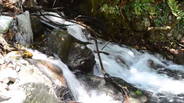 Rio Montanha Queda Fotografar Uma Bela Paisagem — Vídeo de Stock