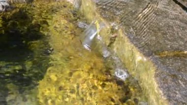 Güzel bir çiçek ve akarsu manzarası çekiyoruz..