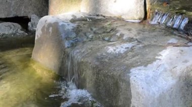 Güzel bir çiçek ve akarsu manzarası çekiyoruz..