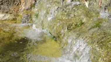 Güzel bir çiçek ve akarsu manzarası çekiyoruz..