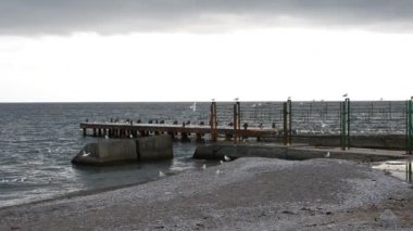 Deniz ve deniz dalgaları.