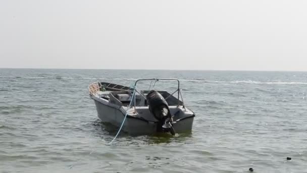 Motorboot Dreharbeiten Der Küste Sommer — Stockvideo