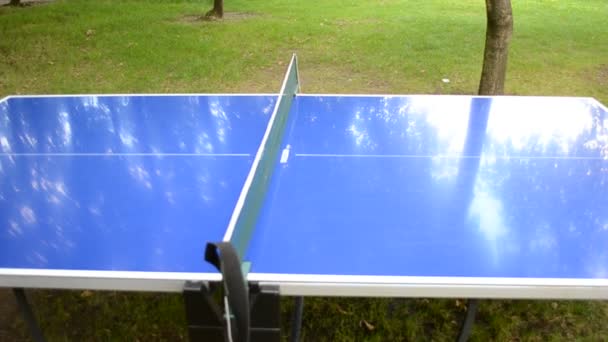 在公园打乒乓球 — 图库视频影像