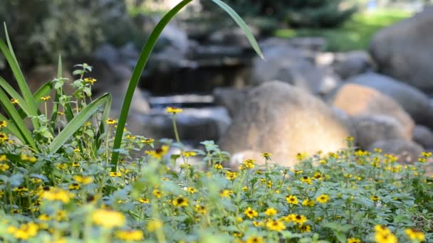 Skjuta Ett Vackert Landskap Blommor Och Vattendrag — Stockvideo