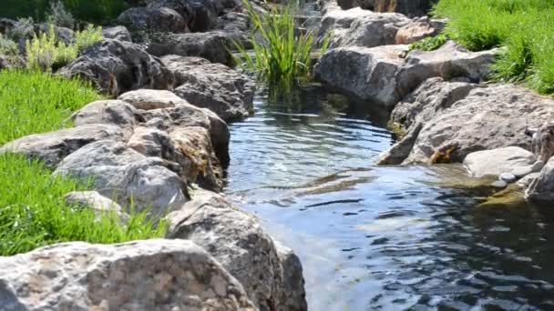 Cascate Torrente Fiume Montagna — Video Stock