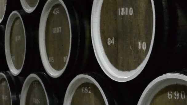 Fıçılı Şarap Mahzeni — Stok video