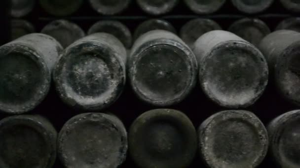 Lange Kelder Met Unieke Wijn — Stockvideo
