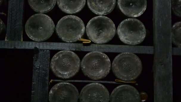 ユニークなワインと長いセラー — ストック動画