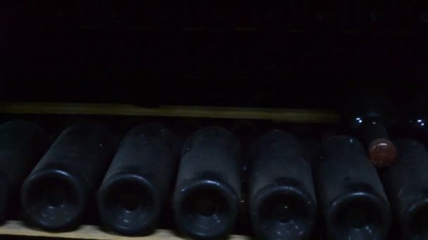 Long Cellar Unique Wine — Stock Video