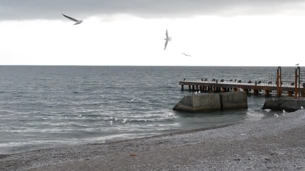 Θάλασσα Και Θαλάσσιο Κύμα — Αρχείο Βίντεο