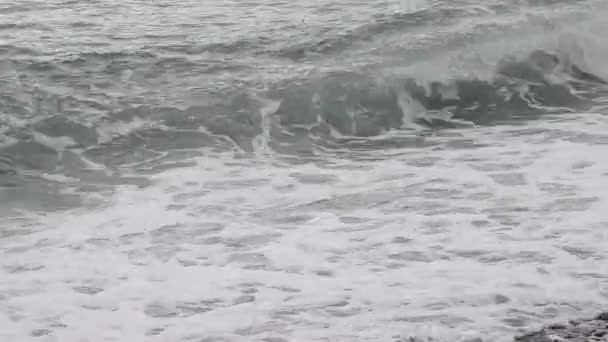Море Морские Волны — стоковое видео