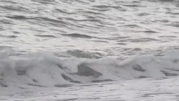 Морська Морська Хвиля — стокове відео